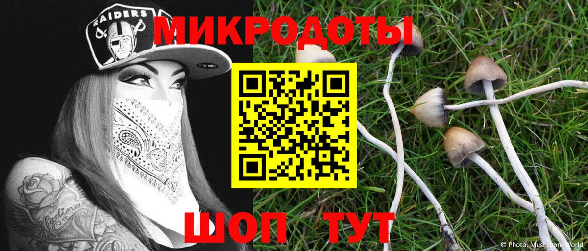 Псилоцибиновые грибы GOLDEN TEACHER Прокопьевск