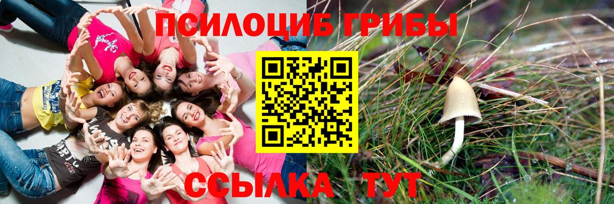 Галлюциногенные грибы Cubensis  Вход с VPN  Прокопьевск 